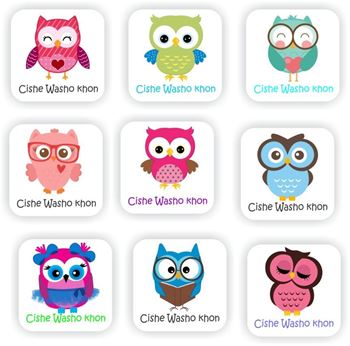 Zulu stickers-Cishe Washo khon-Owl theme, close-up picture