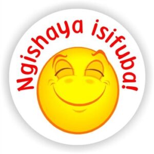 88 isiZulu Stickers | Ngishaya isifuba! (I am proud of you! )