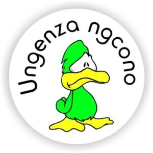 140 isiZulu Stickers | Ungenza ngcono (You can do better)
