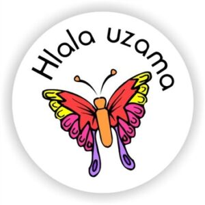 140 isiZulu Stickers | Hlala uzama(Keep trying)