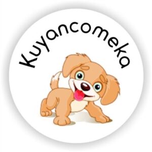 117 isiZulu Stickers | Kuyancomeka (Awesome)