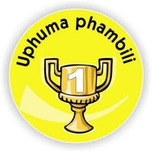 130 isiZulu Stickers | Uphuma phambili (You are number 1)