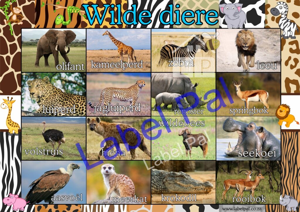 Wilde Diere-Afrikaans, classroom poster