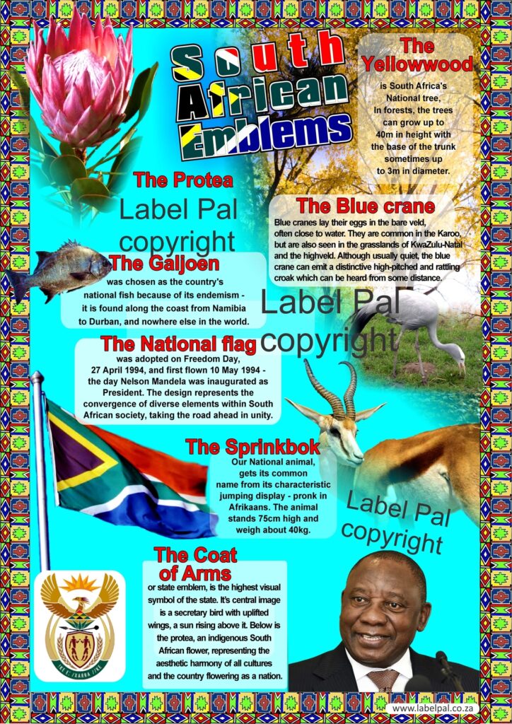 Poster- South African Emblems, classroom poster