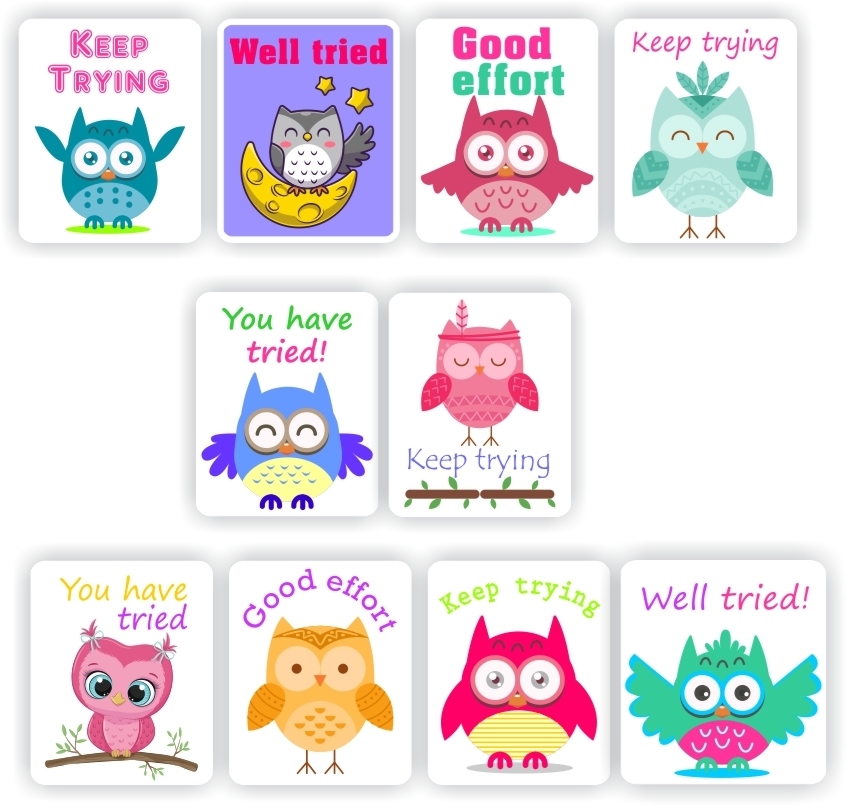 120 Teachers Reward Stickers - Cute Owls, Keep trying, well tried, reward sticker for the classroom