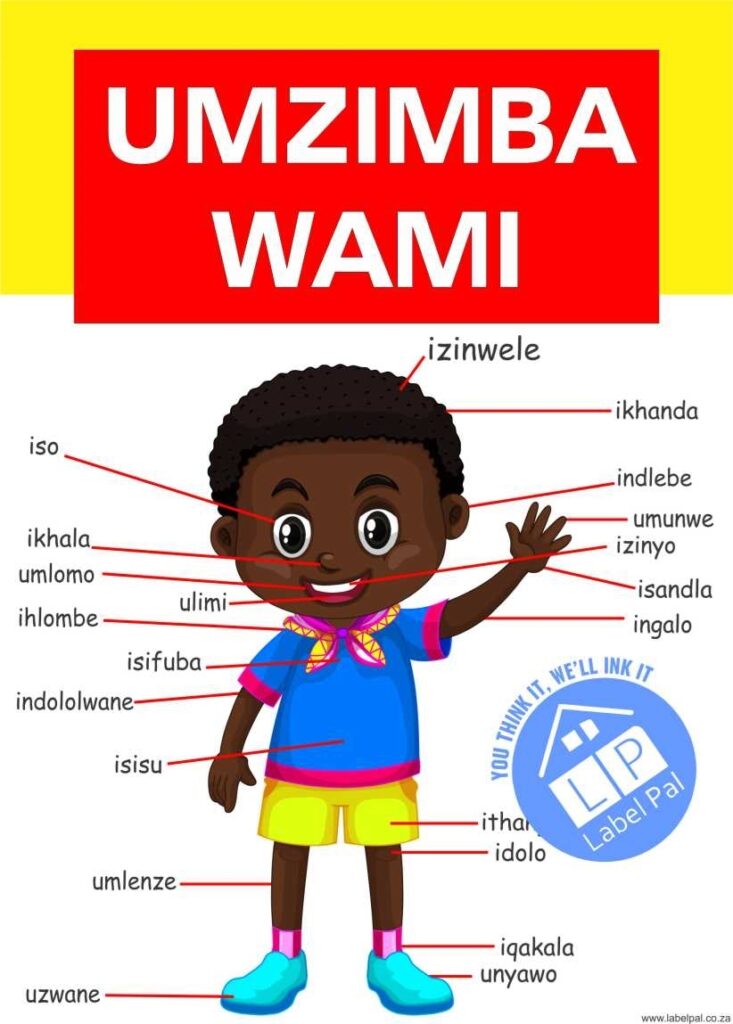 Isizulu Poster - My Body (Umzimba Wami), classroom poster