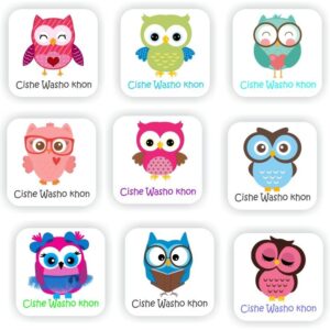 120 isiZulu Stickers | Cute Colourful Owls : Cishe Washo khon