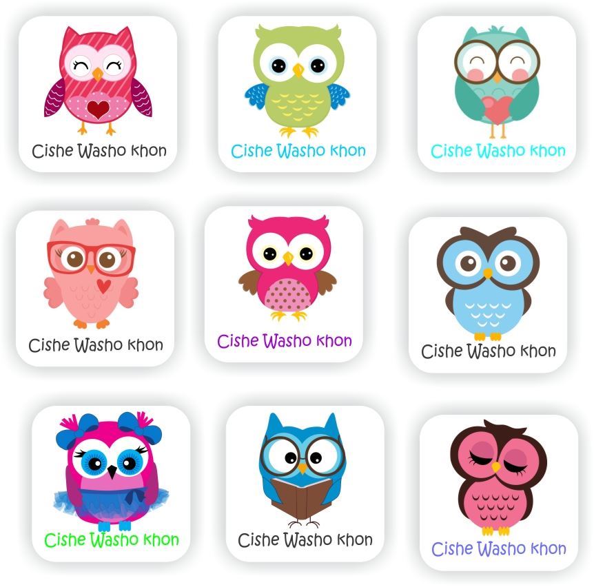 120 Isi-zulu Stickers | Cute Colourful Owls : Cishe Washo khon, reward sticker for the classroom