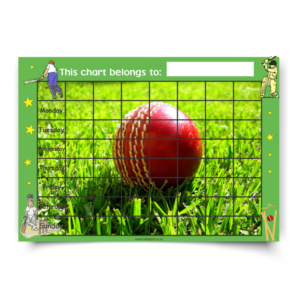 Star Chart — Cricket, classroom poster