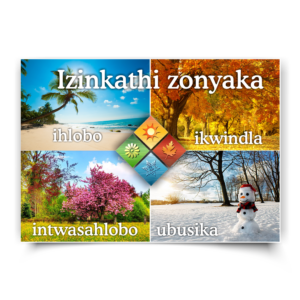 isiZulu Poster |Izinkathi zonyaka .4 Seasons. Ikwindla, ubusika, intwasahlobo, ihlobo