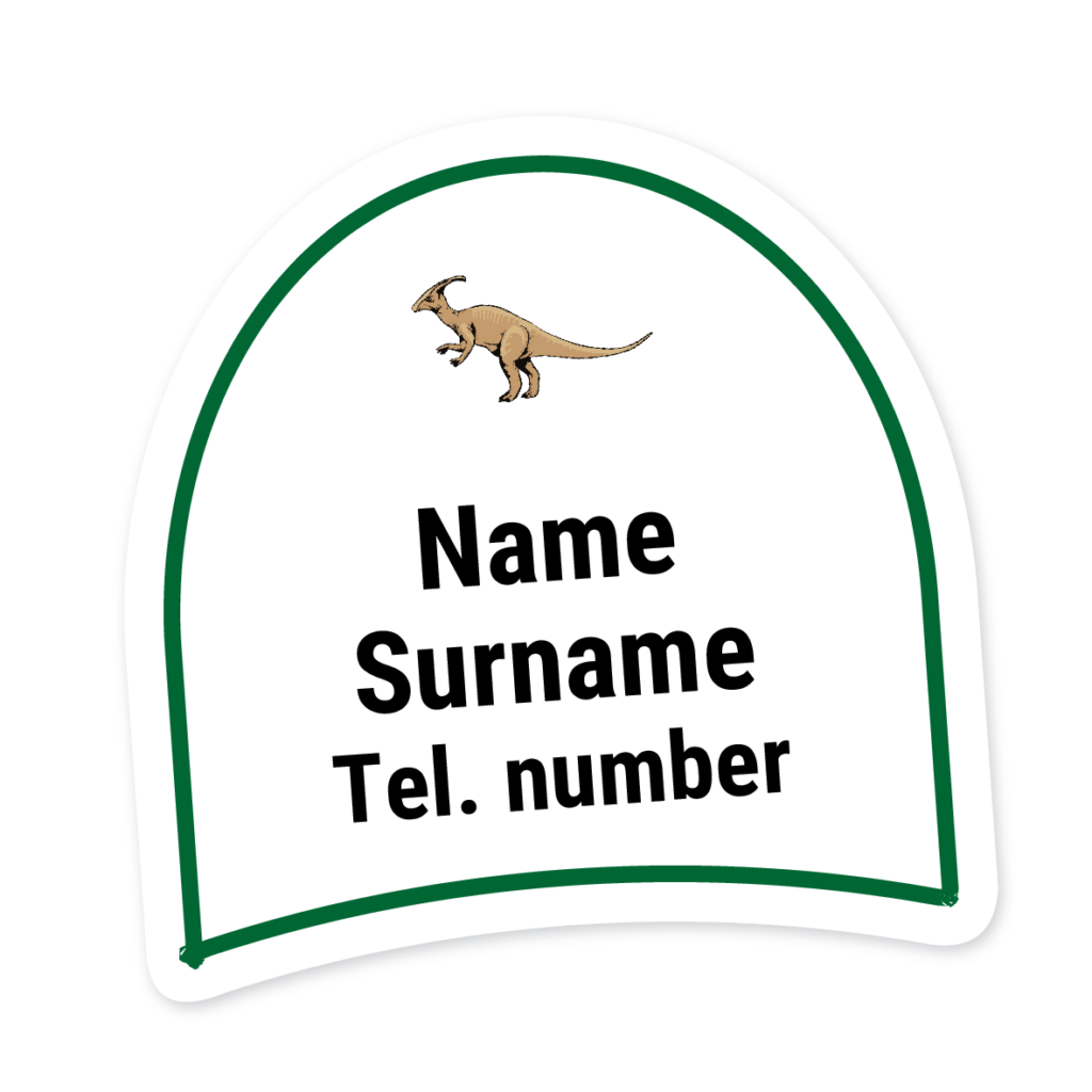 16 Personalised Shoe Labels | Green Dinosaur, personalised with your child's name