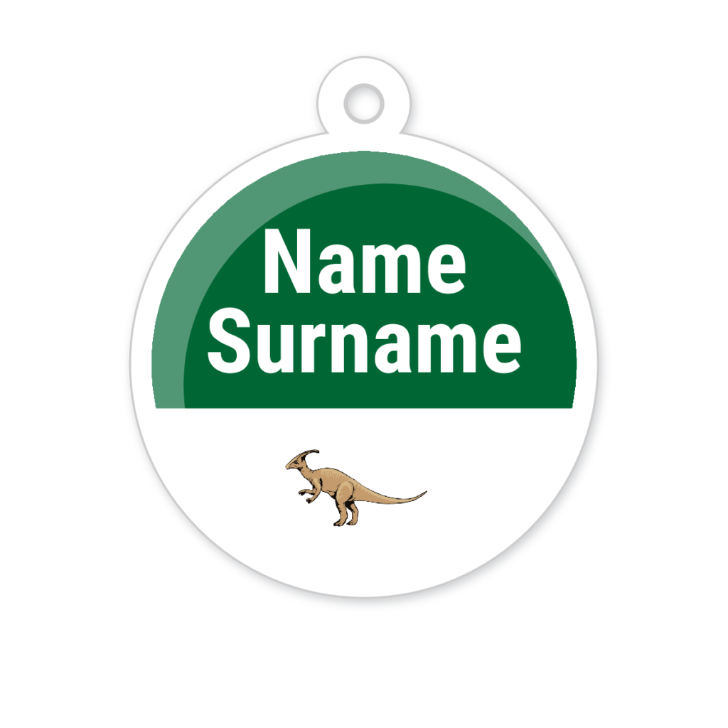 5 Personalised Zipper Tags | Green Dinosaur, personalised with your child's name